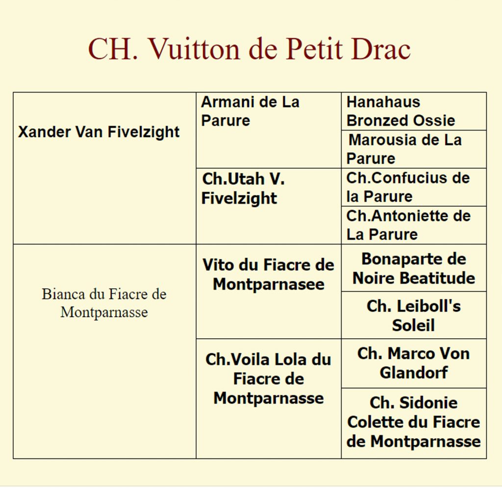 pedigree de Macho bulldog frances Vuitton de petit drac